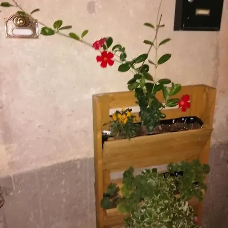 Bed & Breakfast Antico Borgo Bagnoregio