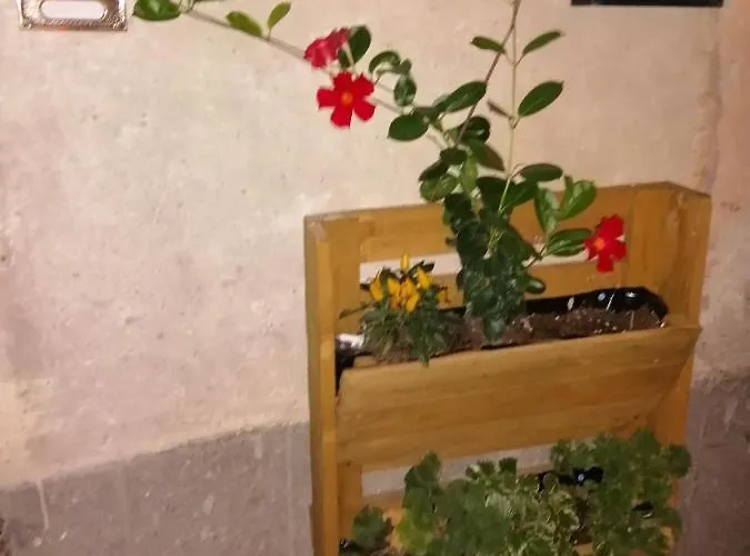 Bed and Breakfast Antico Borgo Bagnoregio